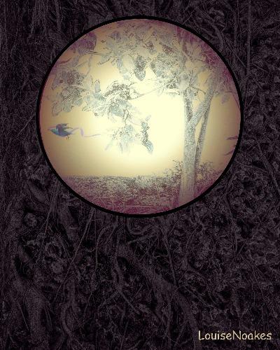 Louise Noakes Fine Art Photographer