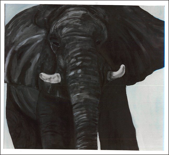 Debra Alkow