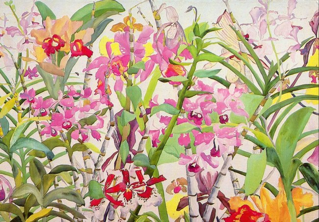 Jill Karlin
