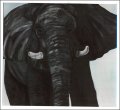 Debra Alkow