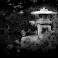 Matt Vought Photography