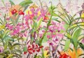 Jill Karlin