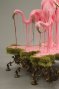 Sarah Knouse