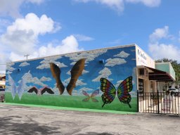 Canvas Murals