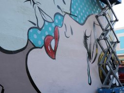 Canvas Murals